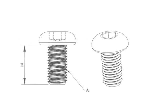 button-head-screw